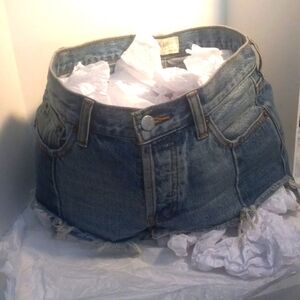 We the free 24W shorts